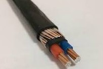 Concentric  Cable